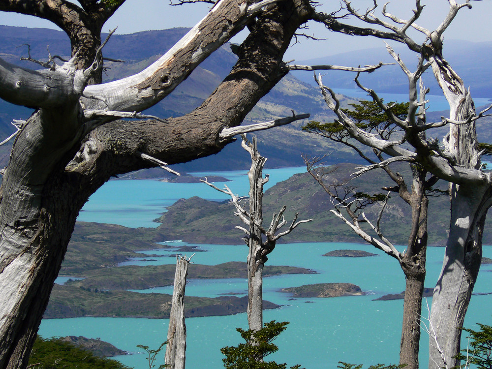 Torres del Paine Nationalpark II