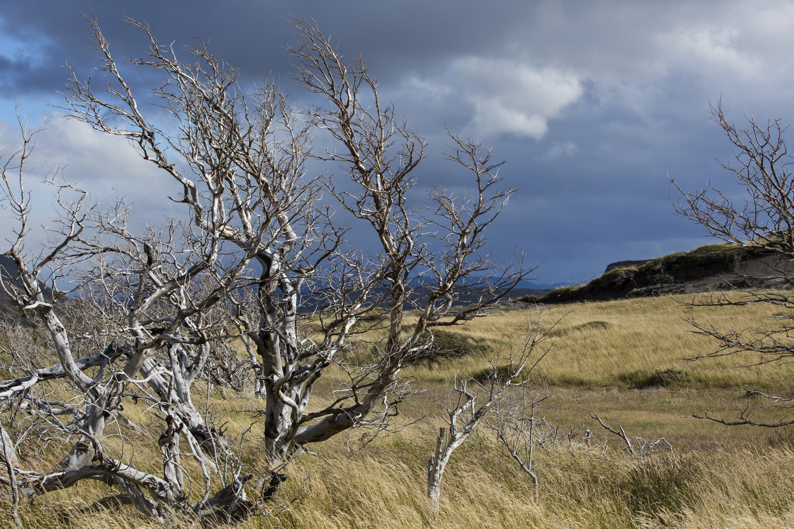 Torres del Paine Nationalpark, windig