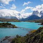 Torres del Paine N.P. - Lago Pehóe