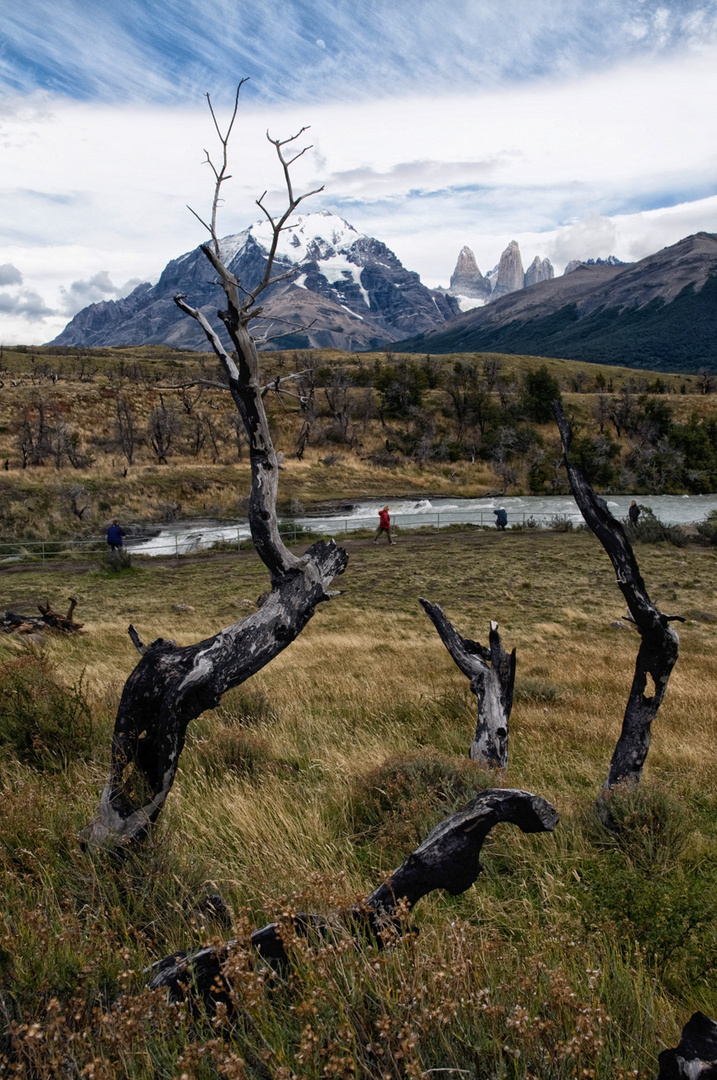 Torres del Paine NP - Patagonia