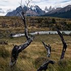 Torres del Paine NP - Patagonia