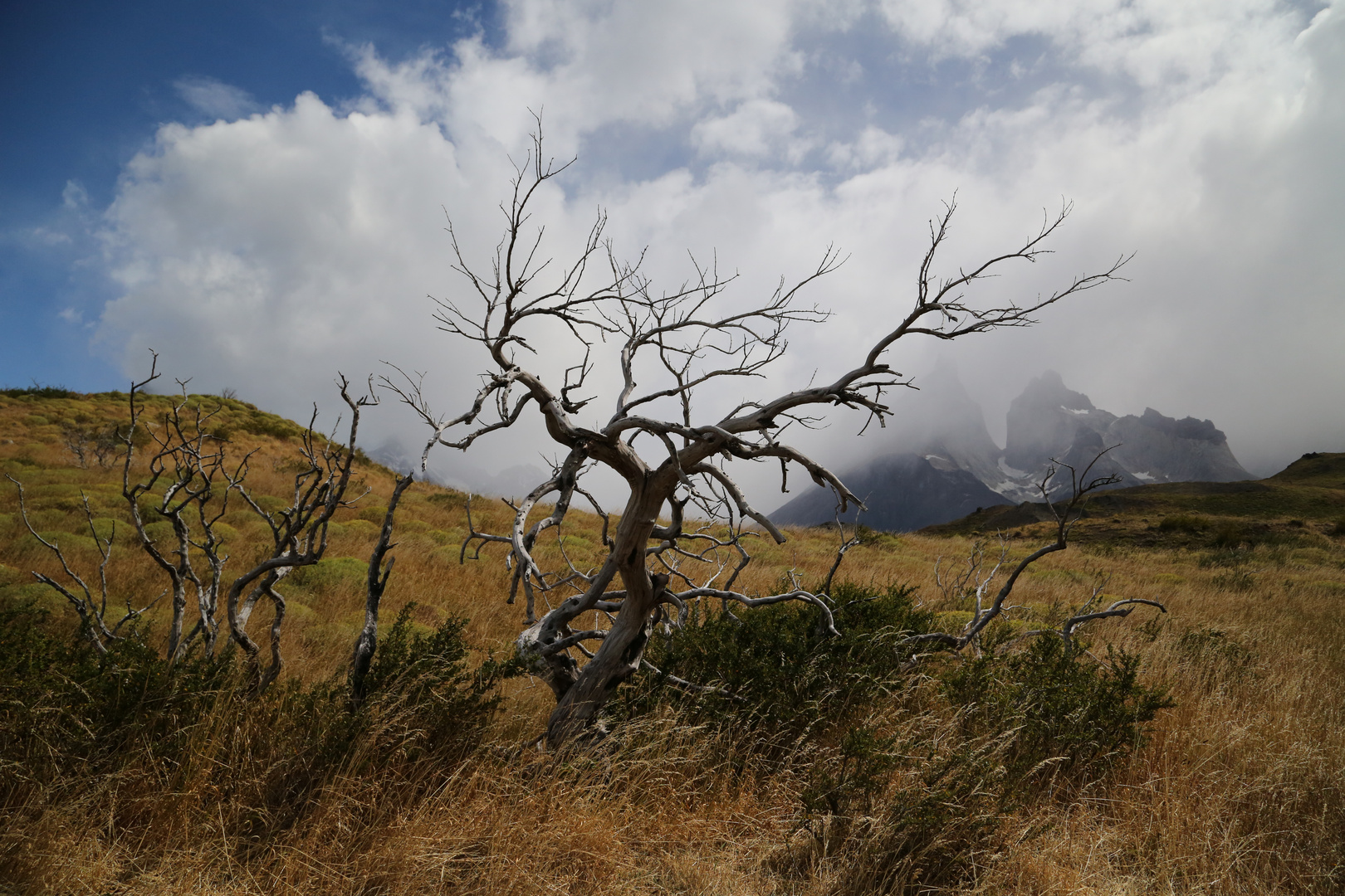 Torres del Paine - Teil 4