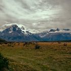 Torres del Paine V