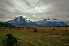 Torres del Paine V