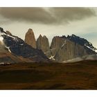 Torres del Paine waiting for the Bus