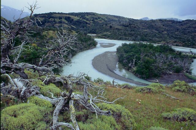 Torres del Paine/Chile