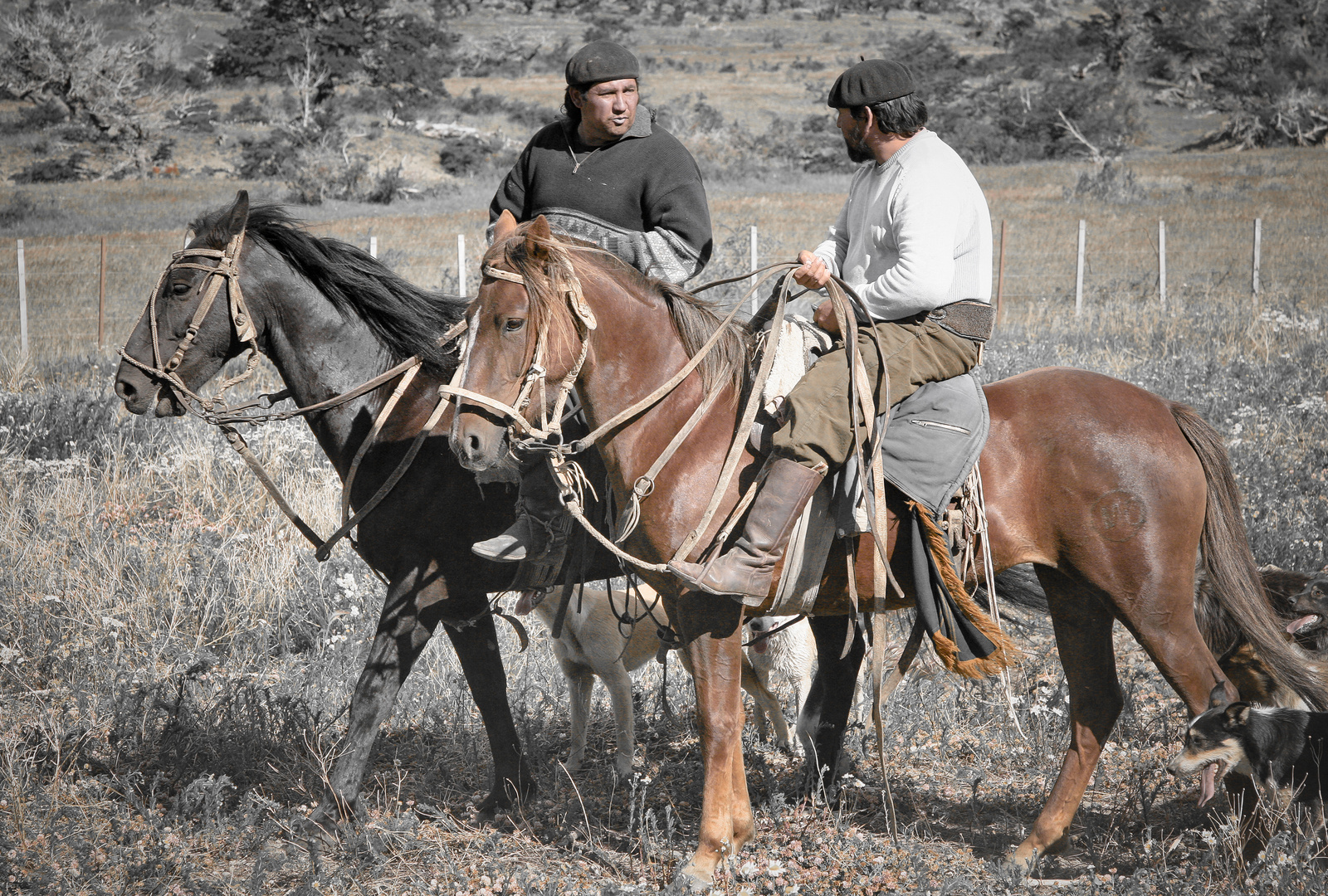 Torres del Paine_Gauchos_X