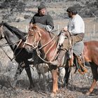 Torres del Paine_Gauchos_X