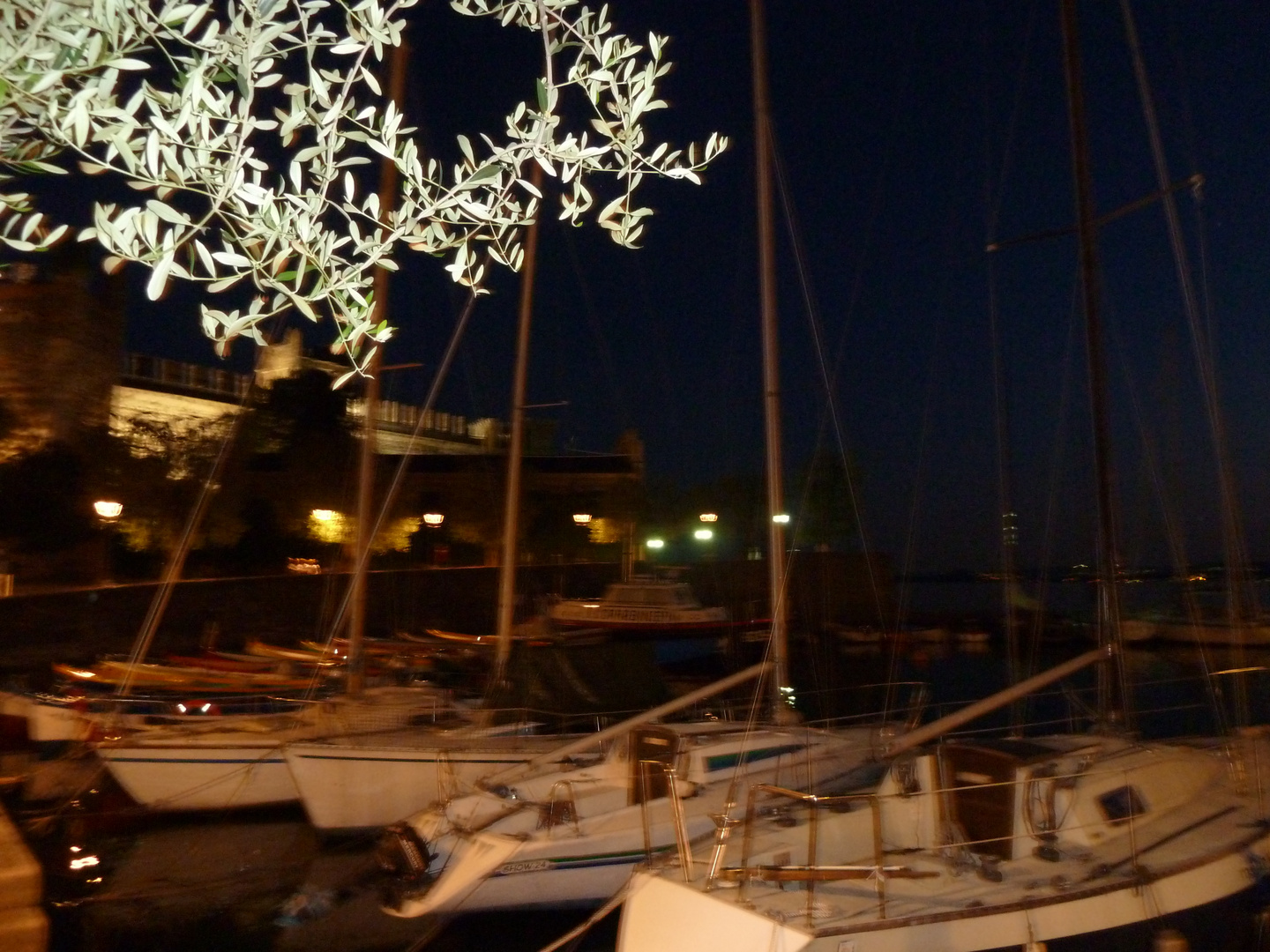 Torri del Benaco bei Nacht