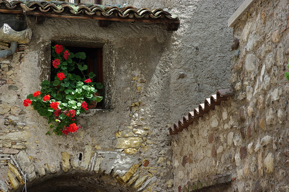 Torri del Benaco