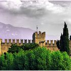 "Torri del Benaco" Lago di Garda