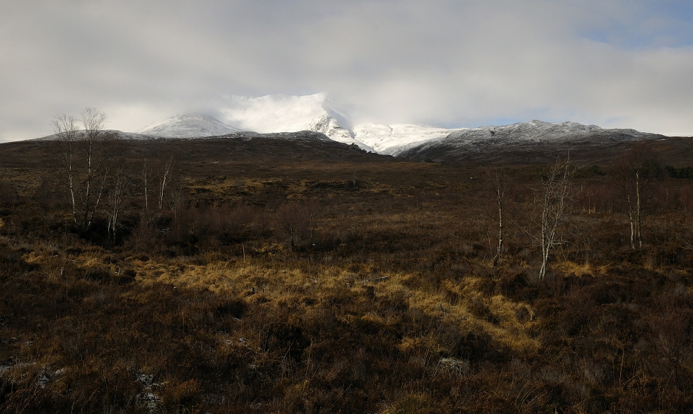 Torridon