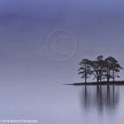 Torridon - Scotland4