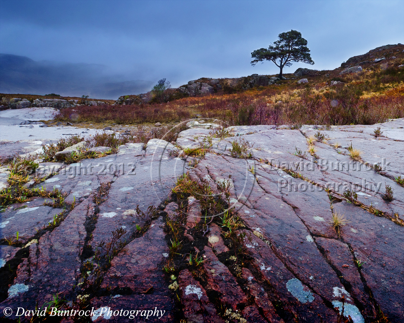 Torridon - Scotland5