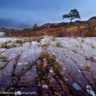 Torridon - Scotland5