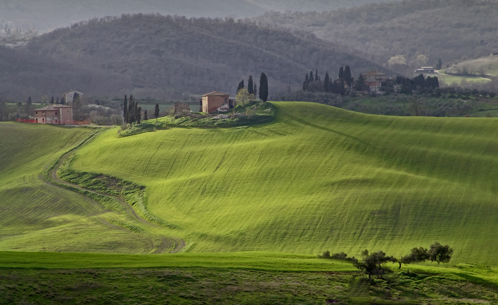 Torrita di Siena