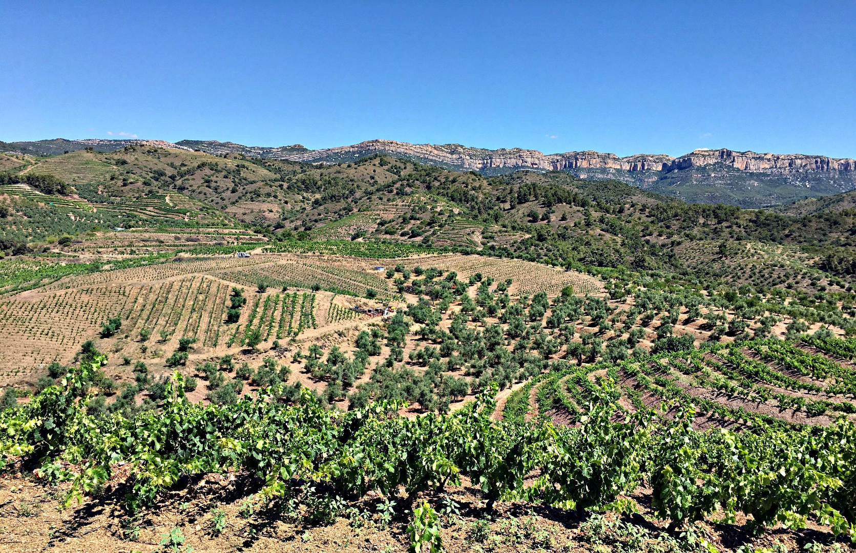 Torroja del Priorat