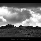 Tors of Dartmoor I