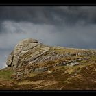 Tors of Dartmoor III