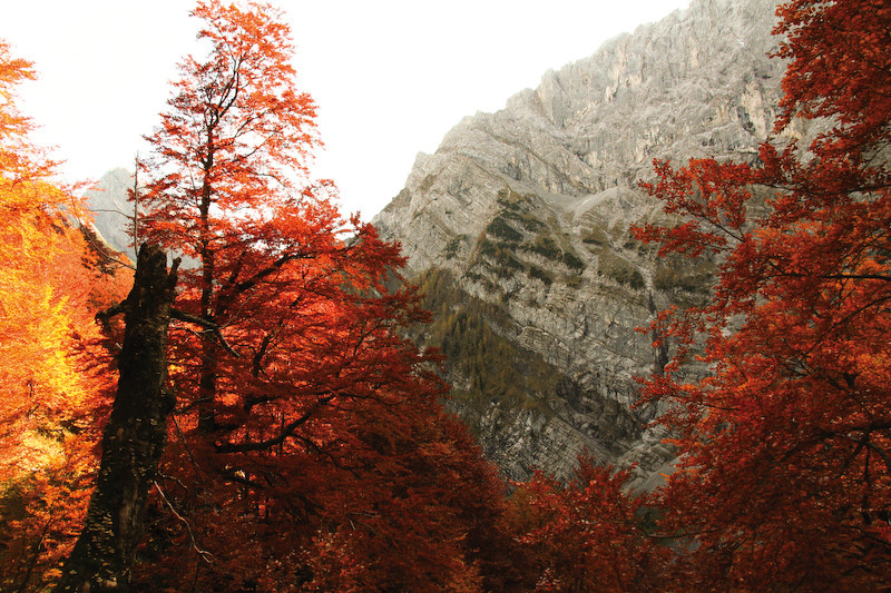 Torscharte im Herbst