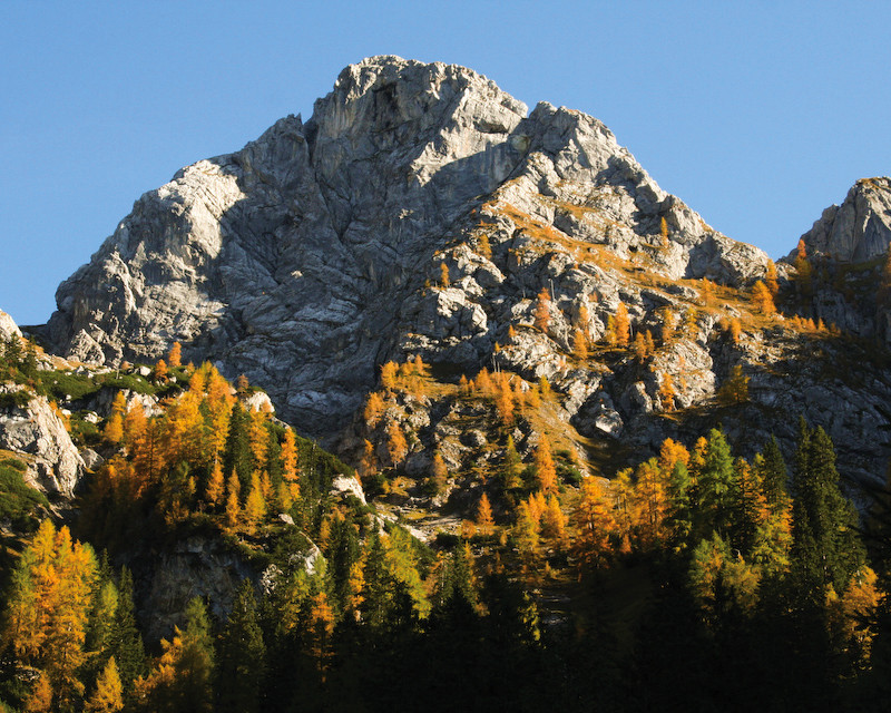 Torscharte im Herbst II