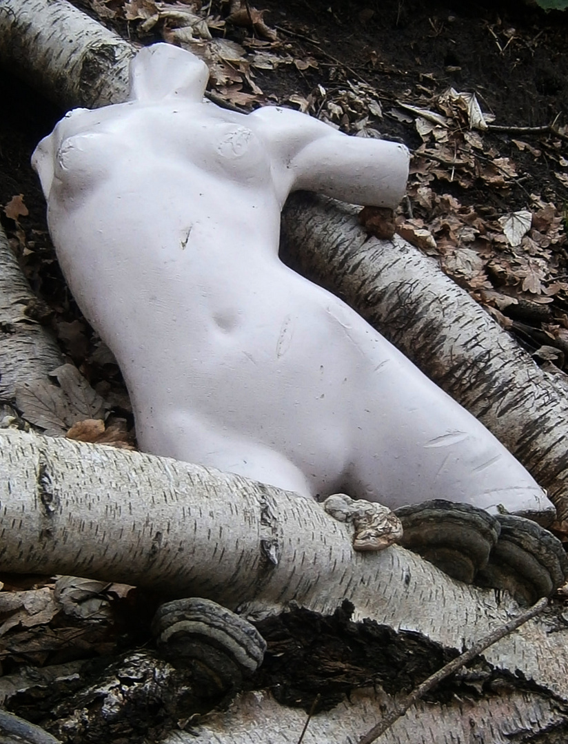 Torso in der Natur