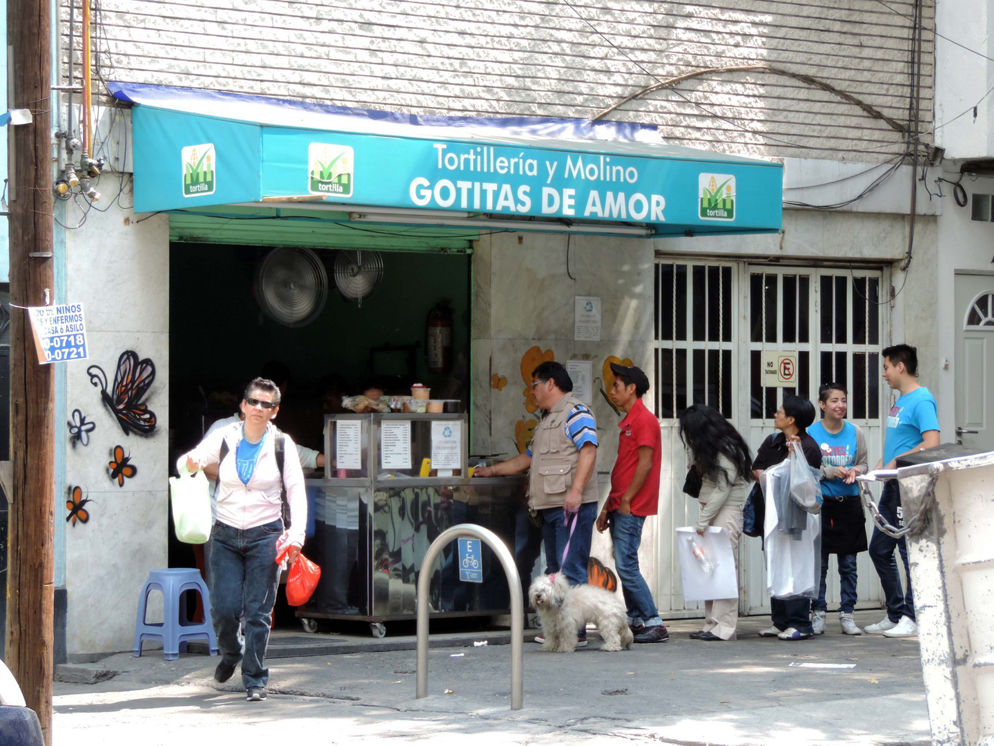 Tortillería Gotitas de amor