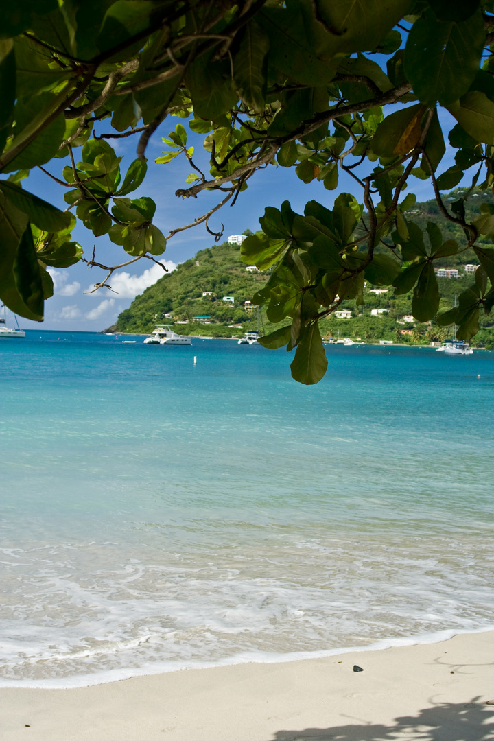 Tortola