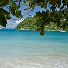 Tortola