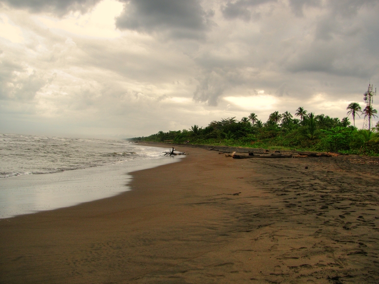 Tortuguero