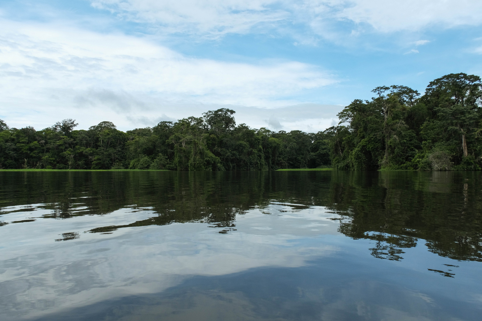 ...Tortuguero Moments...