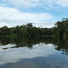 ...Tortuguero Moments...