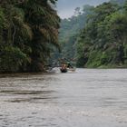 Tortuguero Nationalpark in Costa Rica