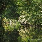 Tortuguero1