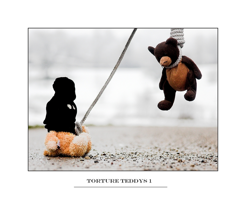 Torture Teddys1