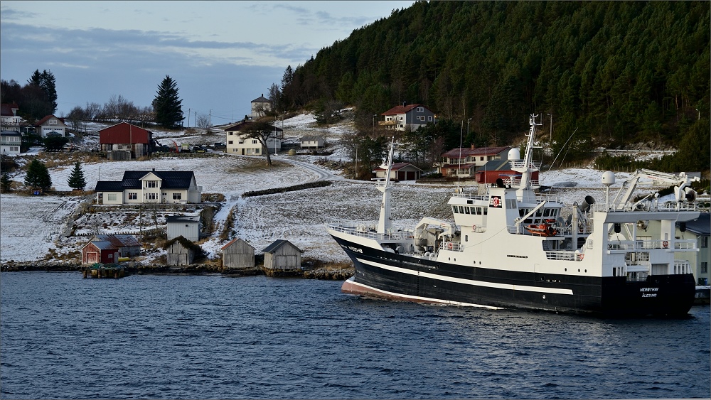 torvik die zweite