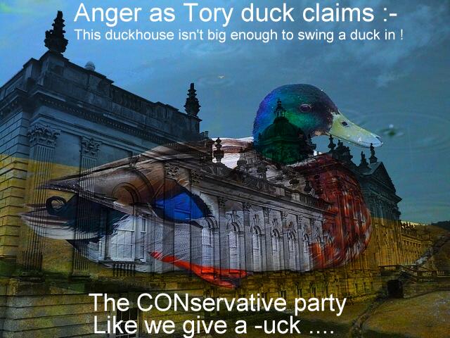 Tory duck don't give a -uck !