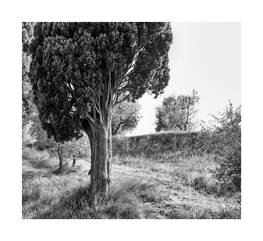 Toscana # 001