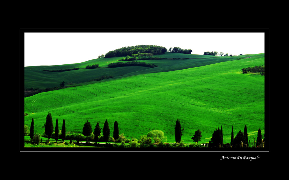 toscana