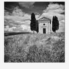 Toscana # 11