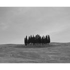 - toscana -