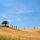 Toscana