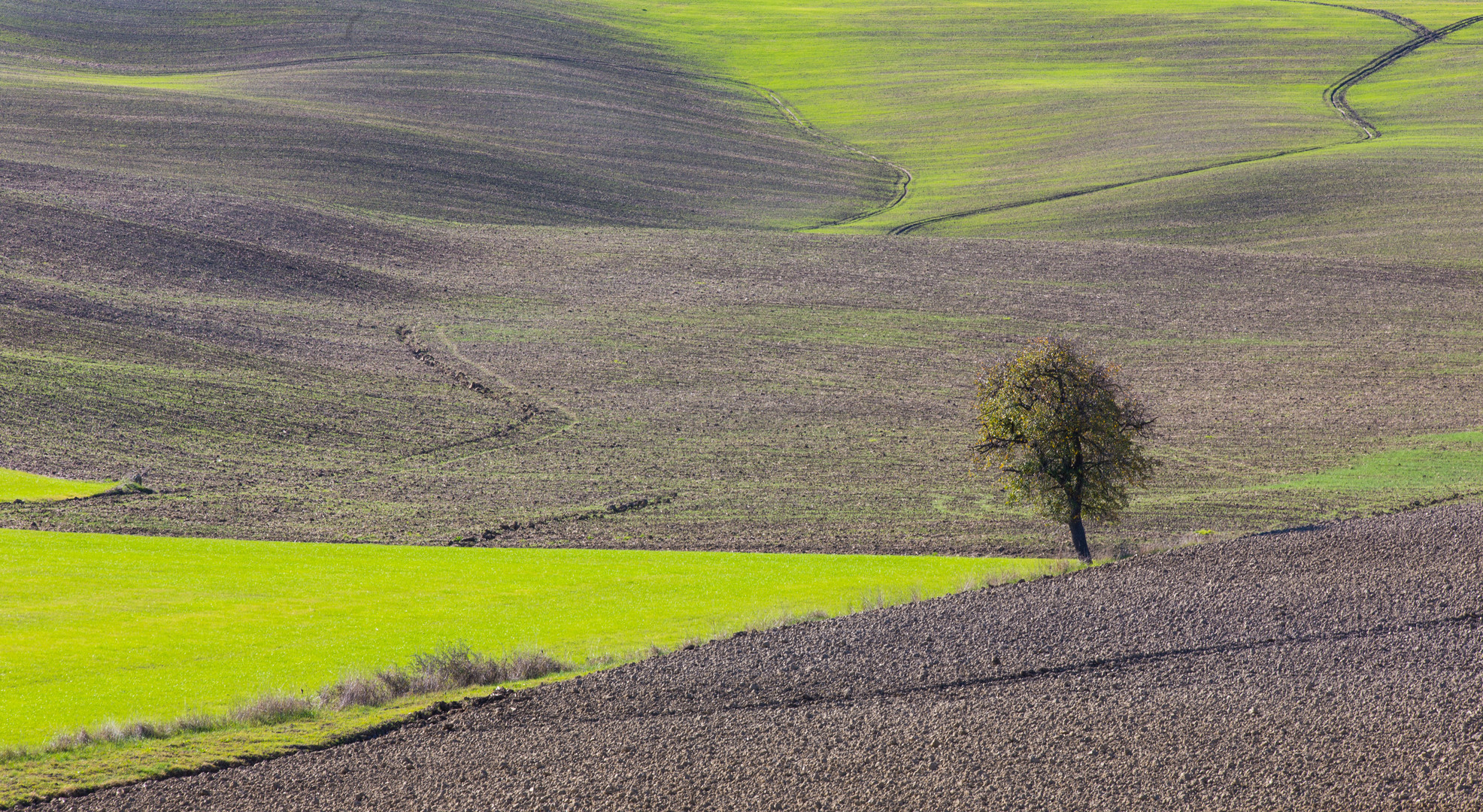 Toscana