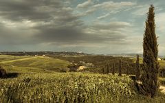 Toscana 2