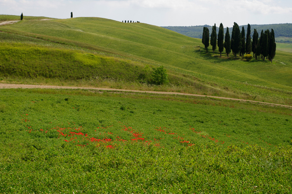 toscana 2009