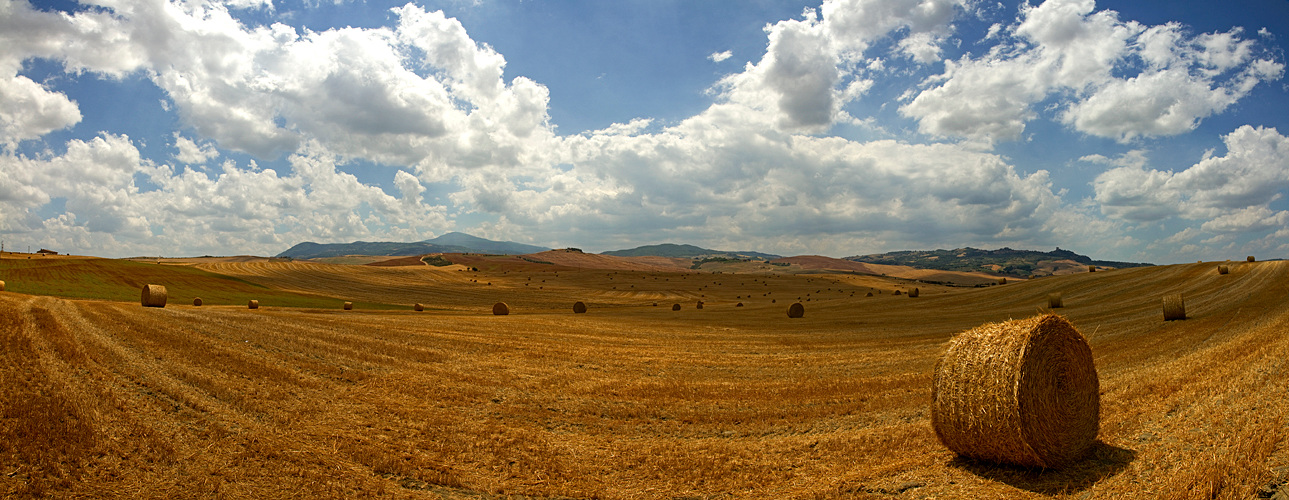 Toscana 2010