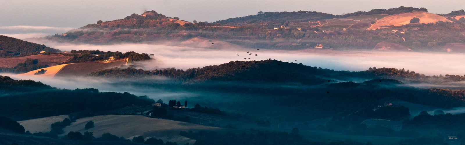 Toscana 2011