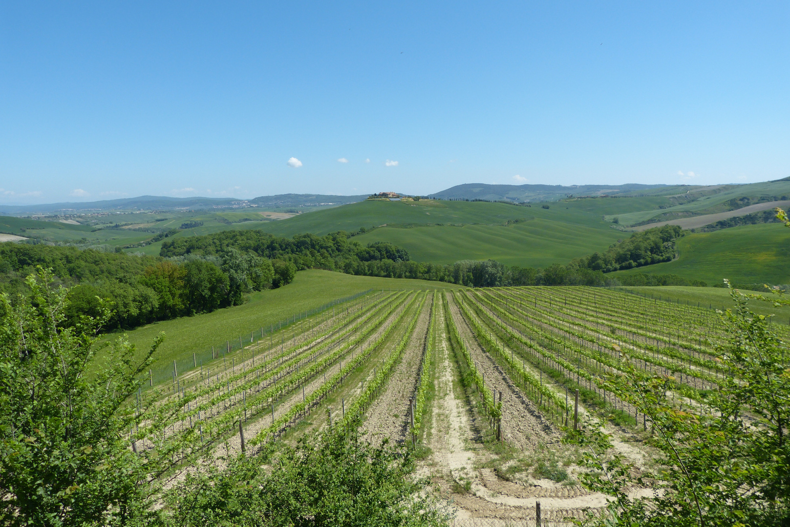 Toscana 2015 (Crete Senesi) II