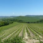 Toscana 2015 (Crete Senesi) II