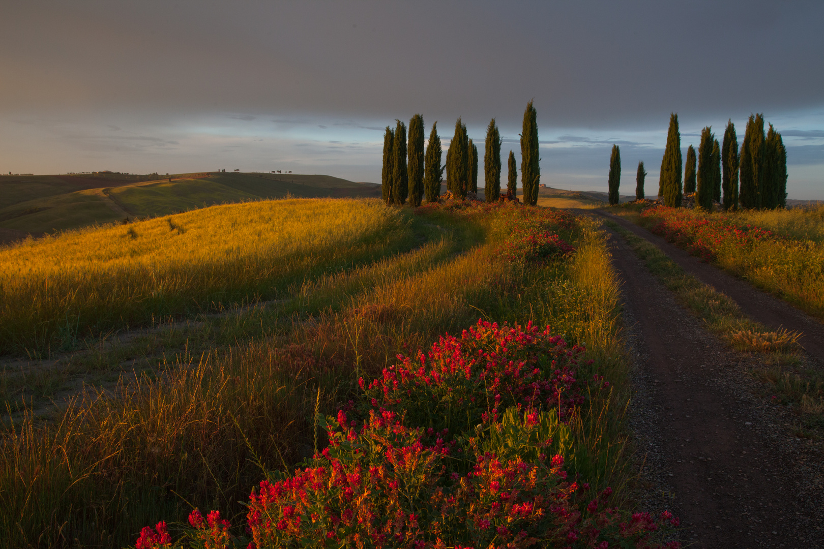 Toscana